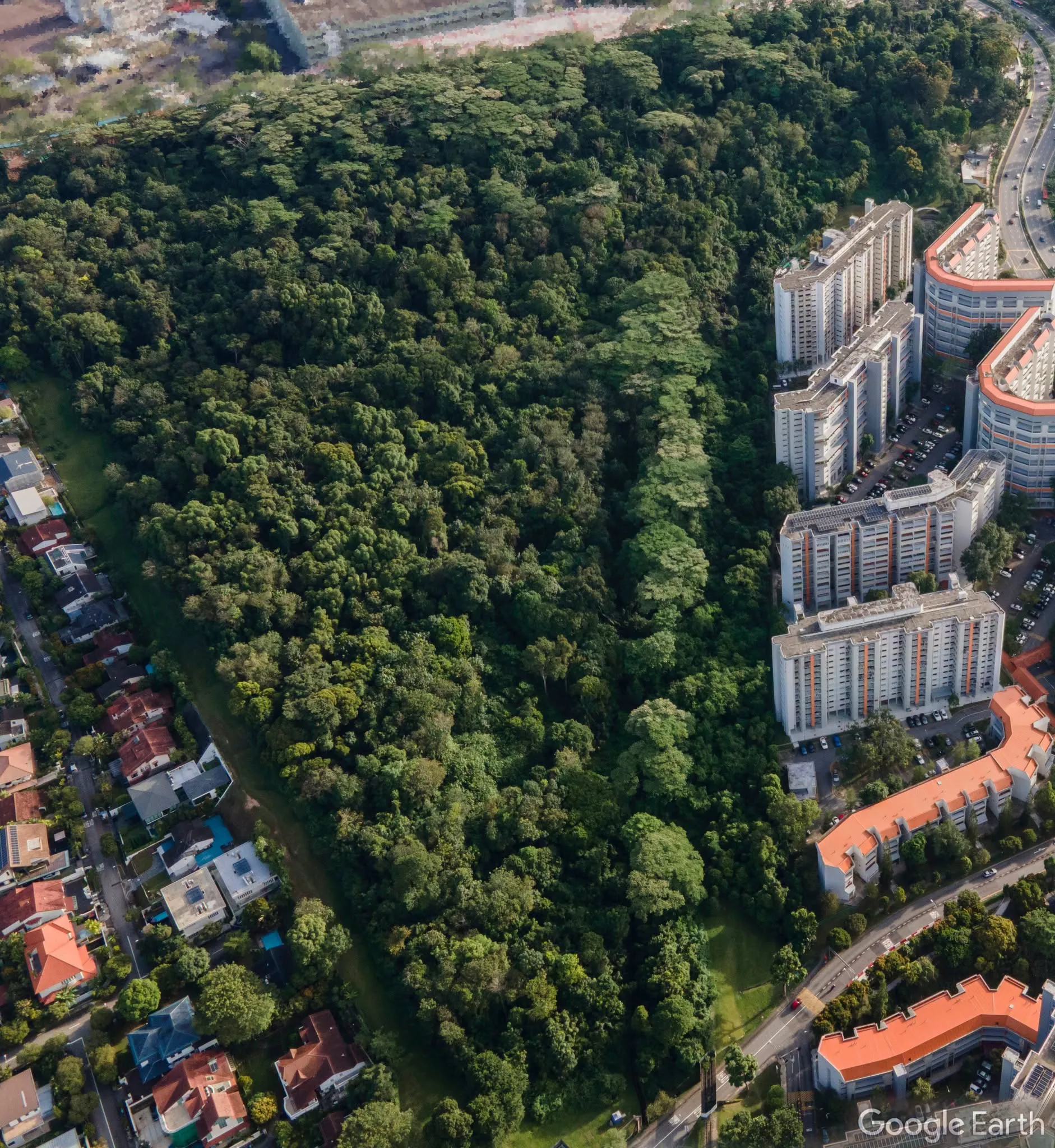 Aerial view of Maju Forest's dense green canopy pressed up against the Sunset Way housing blocks